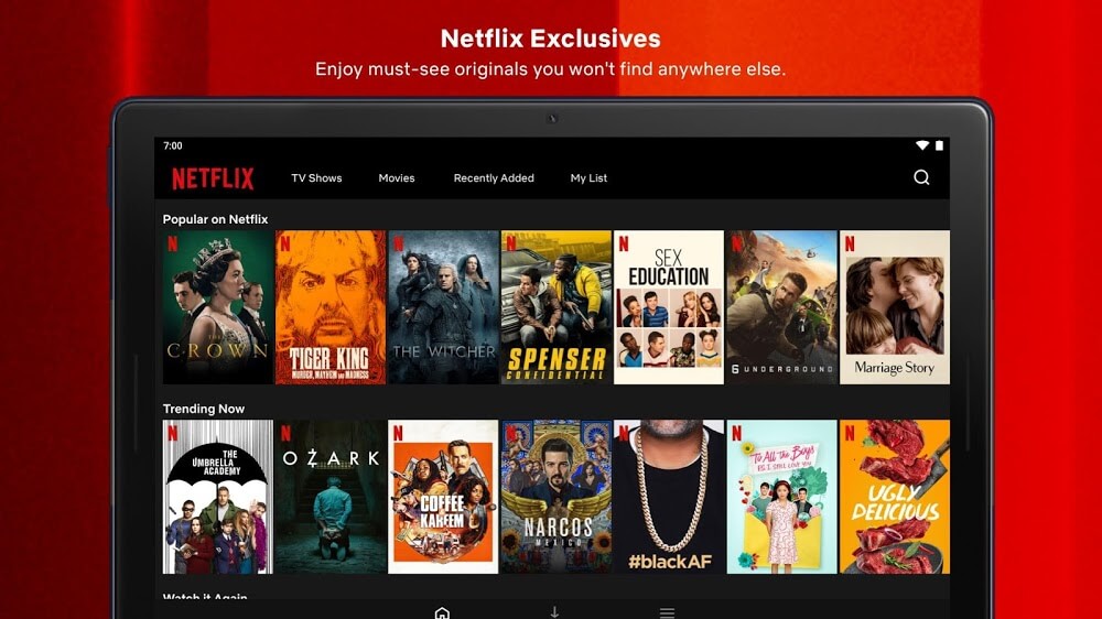 Netflix PREMIUM